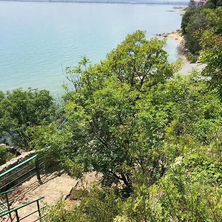 Coral корал бийч Свети Влас