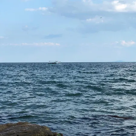 Coral корал бийч * Свети Влас